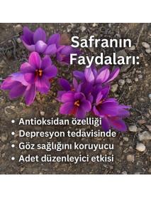 Safran Soğani (50 Adet)