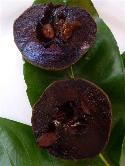 Black Sapote (Çikolata Meyvesi Ağacı) Fidanı